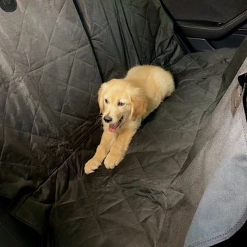 Backseat Pet Cover with Leash