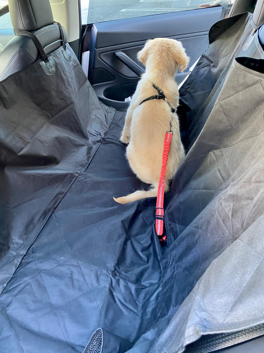 Backseat Pet Cover with Leash