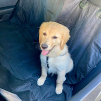 Backseat Pet Cover with Leash