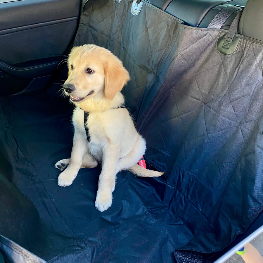 Backseat Pet Cover with Leash